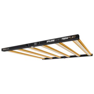 DimLux DimLux Xplore 3.0 LED 730w Driver integrado