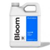Athena Bloom B