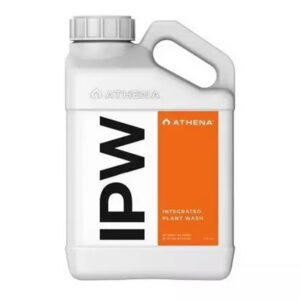 Athena IPW