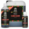 Biobizz Flowa Bloom Juju Royal