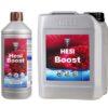 Hesi Boost-1