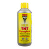 Hesi TNT-2