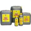 Hesi TNT-3