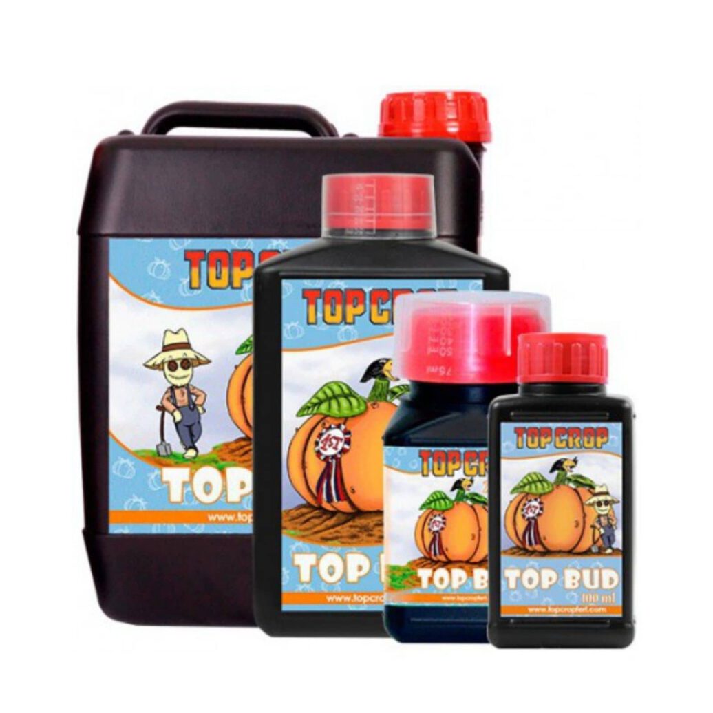 Top Crop Top Bud-1