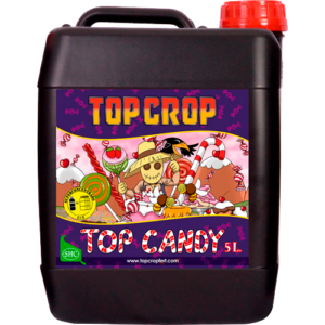 Top Crop Top Candy-1