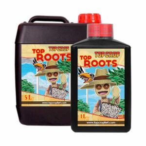 Top Crop Top Roots-1