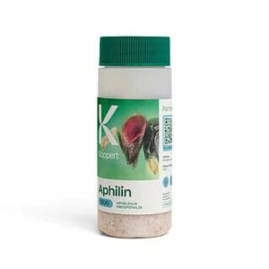 BioBest Thripor-L 500 Orius Laevigatus Koppert