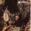 BioBest Entomite-M 10000 Hypoaspis Miles Koppert-1