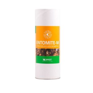 BioBest Entomite-M 10000 Hypoaspis Miles Koppert