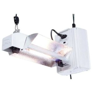 Phantom Phantom 1000W DE equipo completo