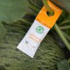 BioBest Spical Ulti-Mite 100 sobres contra araña-2