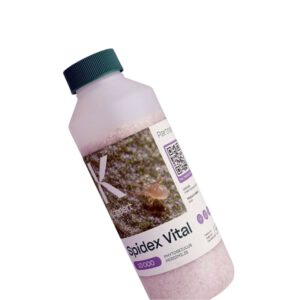 BioBest Spidex 10000 Phytoseiulus Persimilis Koppert